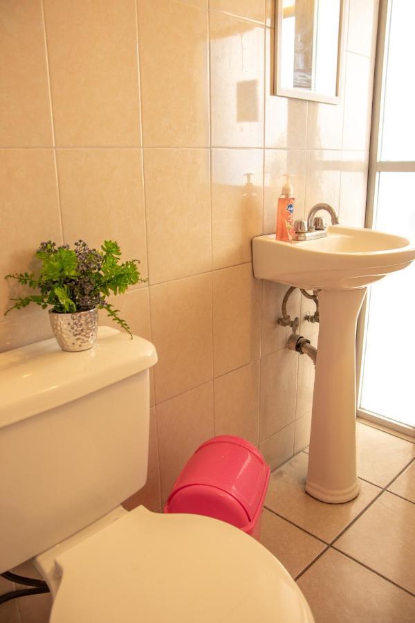 Hostal Casa Colores Adults Only กัวดาลาฮารา ภายนอก รูปภาพ