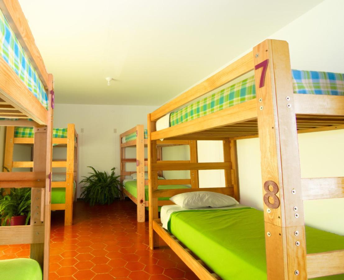 Hostal Casa Colores Adults Only กัวดาลาฮารา ภายนอก รูปภาพ